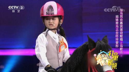 牛仔飞歌曲视频,狂野西部，激情四溢的旋律之旅