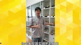 冈夲视频,揭秘生活细节中的哲学智慧