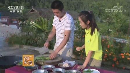 农广天地视频2016全集,农业科技与农村发展的全景展示